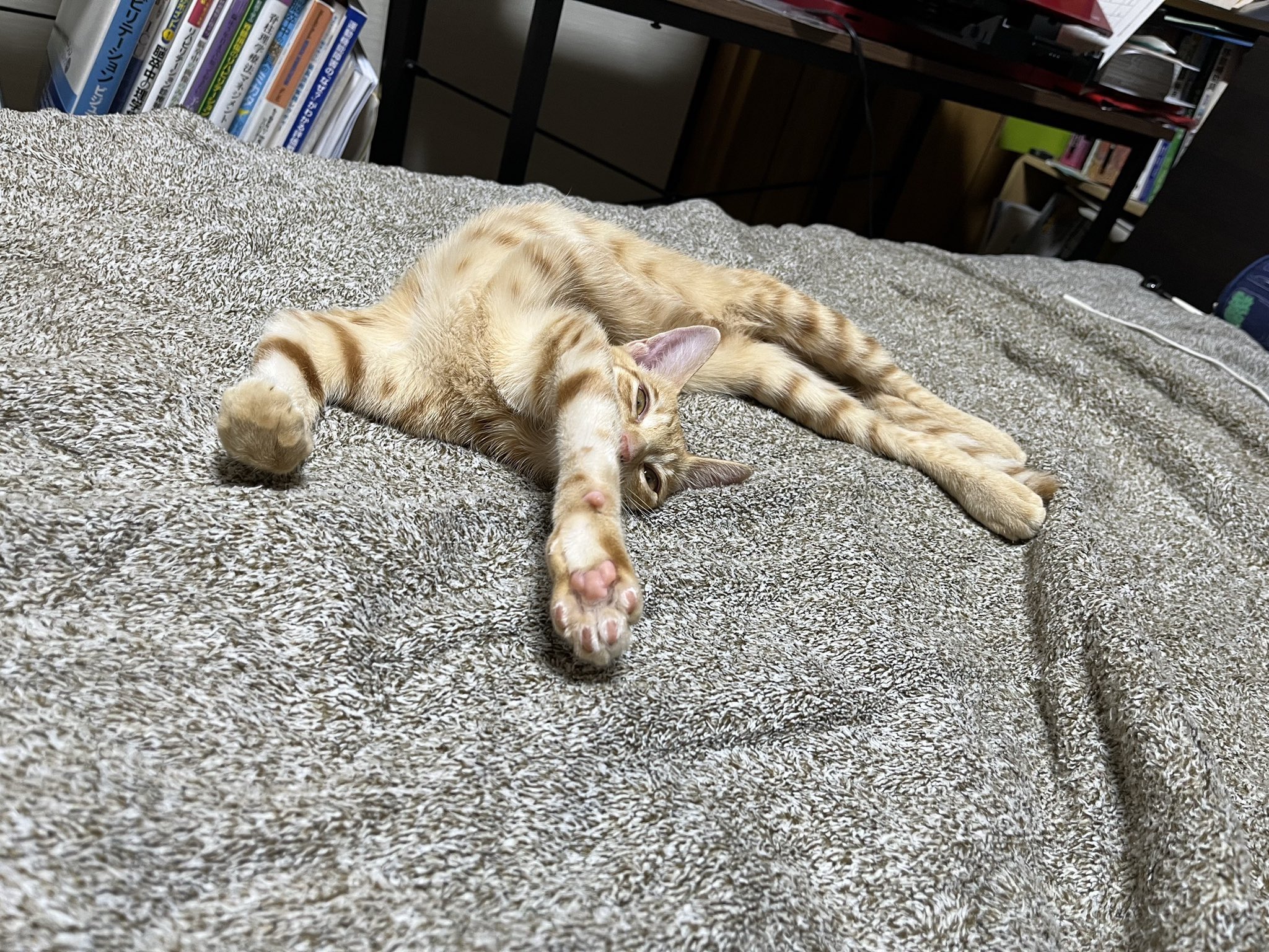 ☆meltakaです☆ G.G.Smash 27 ft. MkLeo MkBigBoss Andrik Te-sHi MkLaw マサミ