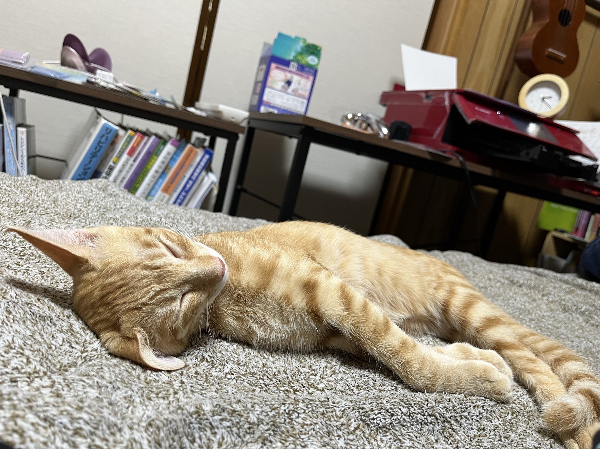 ❌MFL【commission open】 (@batekka) / X