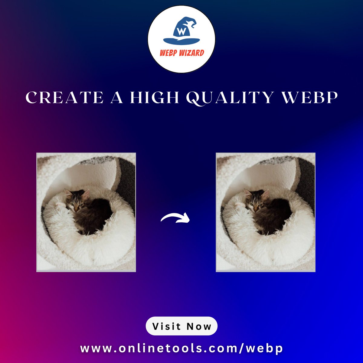WebpWizard's tweet image. In this example, we convert a JPG photo of a kitten curled up in a cozy fluffy bed into a high quality WebP photo.
Try our Tool: onlinetools.com/webp/convert-j…
#browserling #jpgtowepp #imageconversion #onlineconverter #filetools #digitalworkflow #graphicdesigntools #techhacks