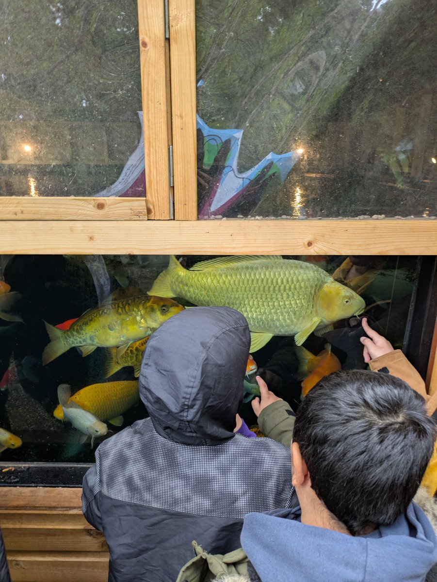 Lift Montgomery Primary tweet media