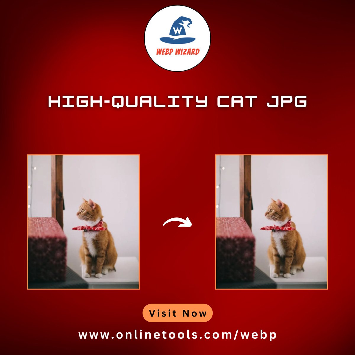 WebpWizard's tweet image. In this example, we transform a WebP photo of a cat with a red scarf into a JPG photo.
Try our Tool: onlinetools.com/webp/convert-w…
#browserling #webptojpg #imageconversion #onlineconverter #filetools #digitalworkflow #graphicdesigntools #techhacks