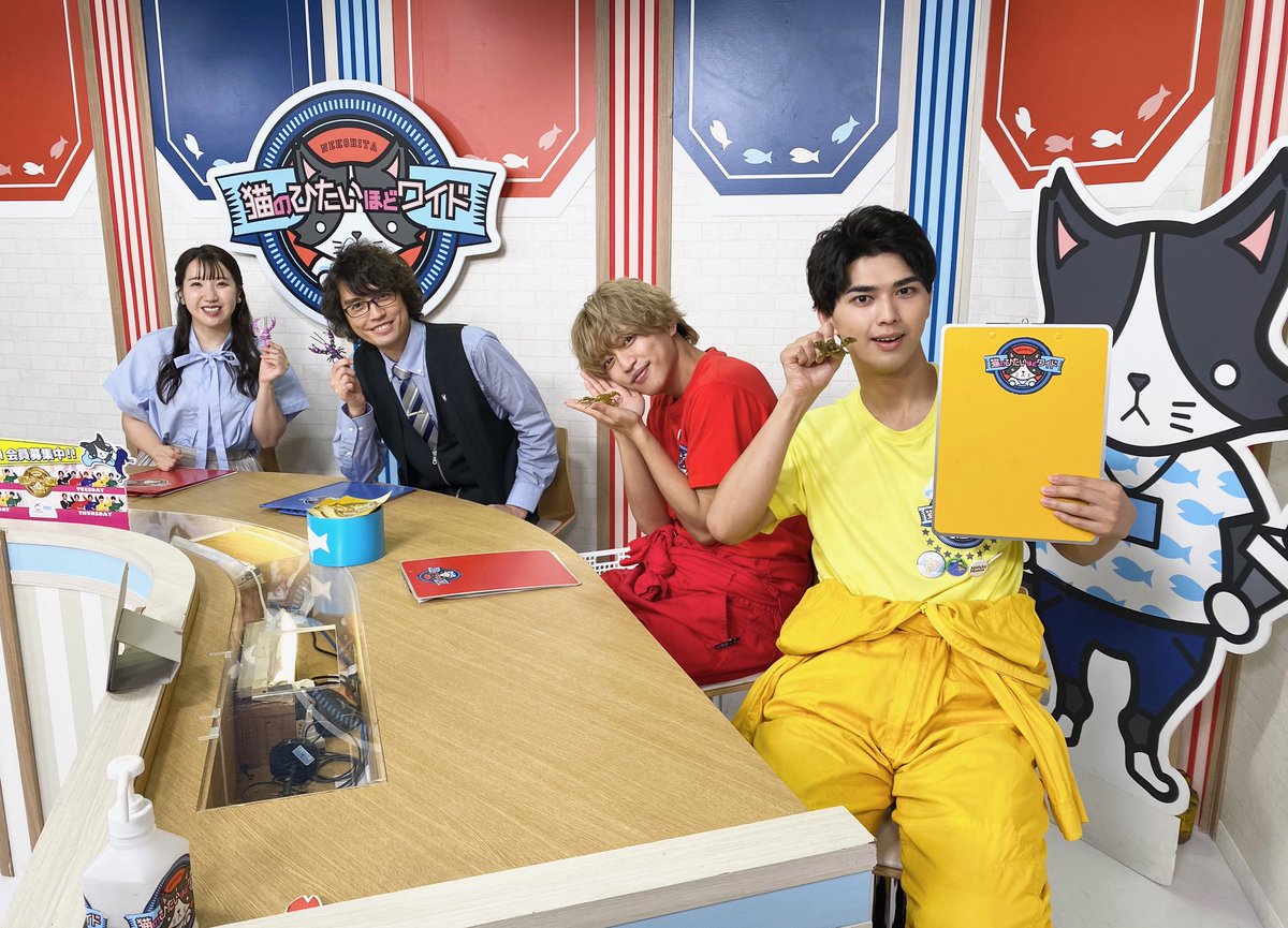 猫のひたいほどワイド on X