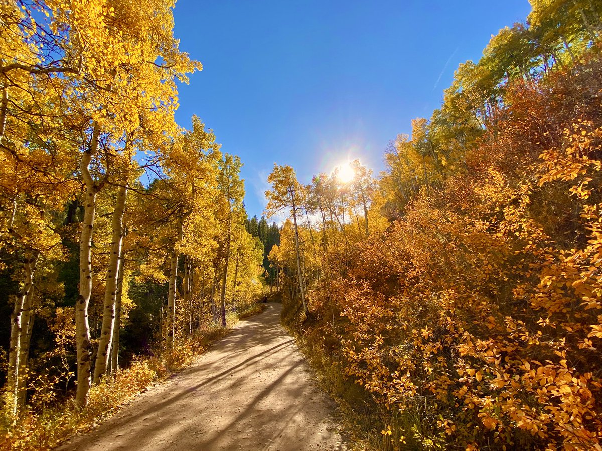 KyleCinVail's tweet image. Never a cloudy day. #DancingInSeptember #EarthWindAndFireDay