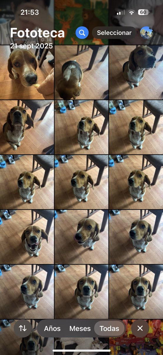 Mami tómale una foto al orejas: 

*mi mamá en corto*