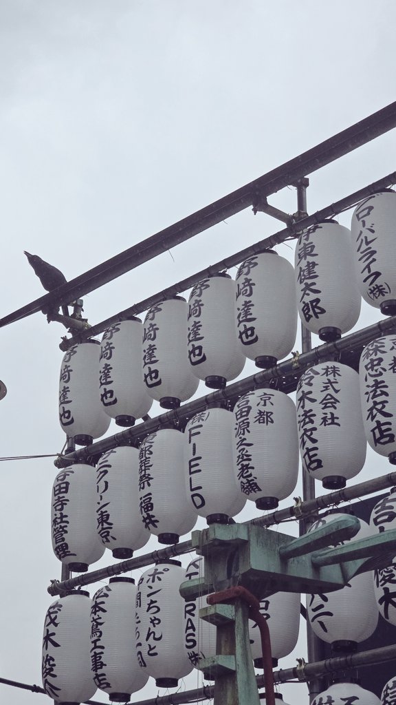 Moski, una pizza. 🐻🌳 tweet media