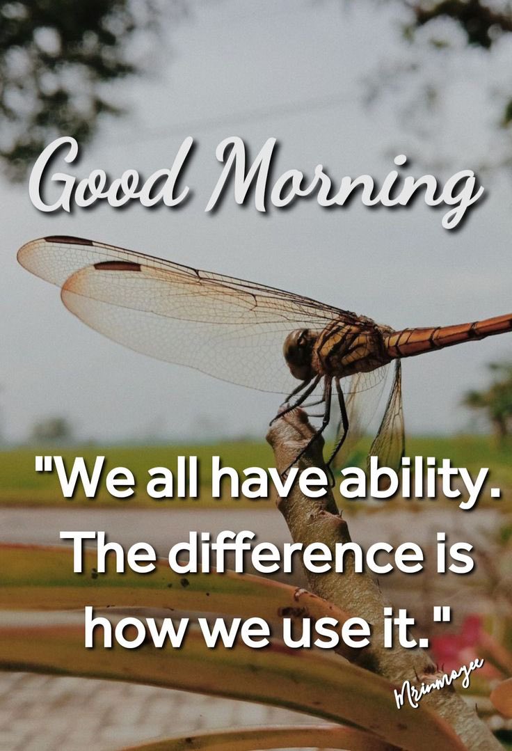 Good morning Monday ☕️🦋