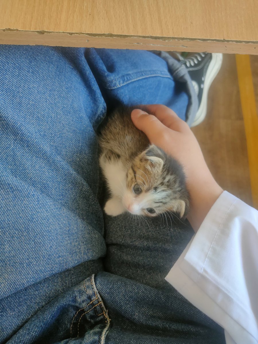 ⋆⁺₊✧ 𝙻𝚒𝚒⭒ tweet media