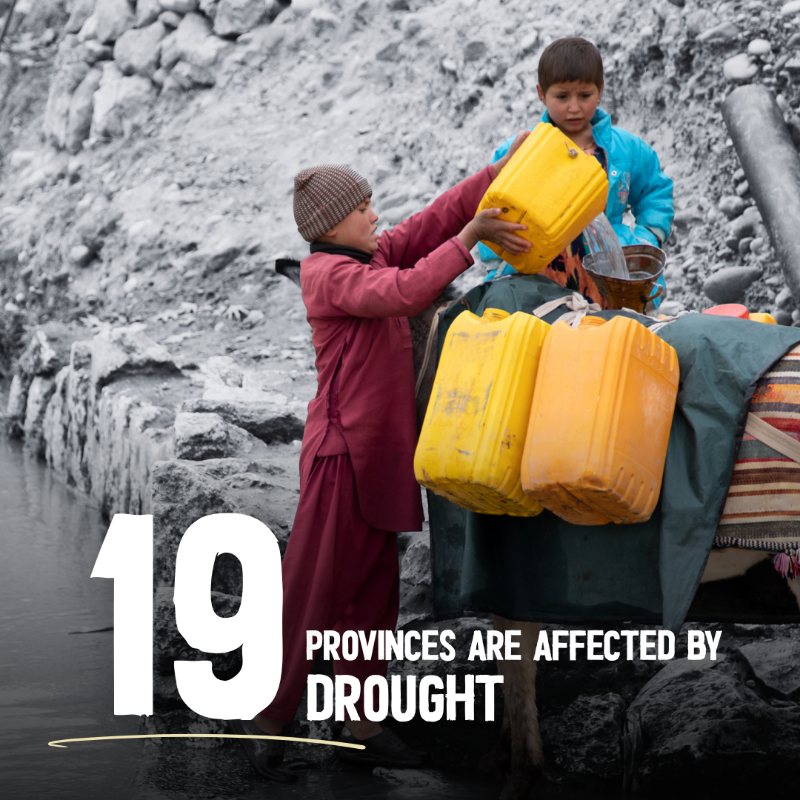 WFP_Afghanistan's tweet photo. In #Afghanistan, acute malnutrition, relentless drought and forced returns of Afghans from Iran and Pakistan are pushing families deeper into crisis.

WFP needs $568 million to sustain life-saving support over the next 6 months.