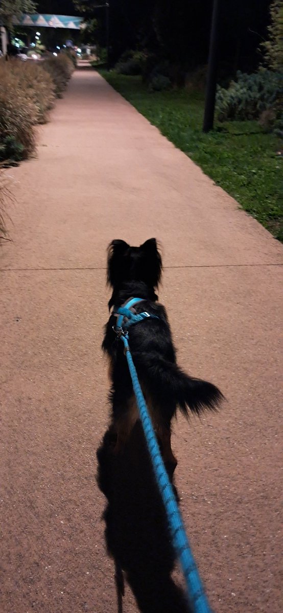 Bonjour 👋
Après un week-end bien calme, c’est reparti pour une nouvelle semaine placée sous le signe de l’automne. Le soleil s’annonce généreux, alors profitons-en, même si quelques heures de pluie sont probablement au programme. Allez go pour la balade matinale à Val-de-Reuil.