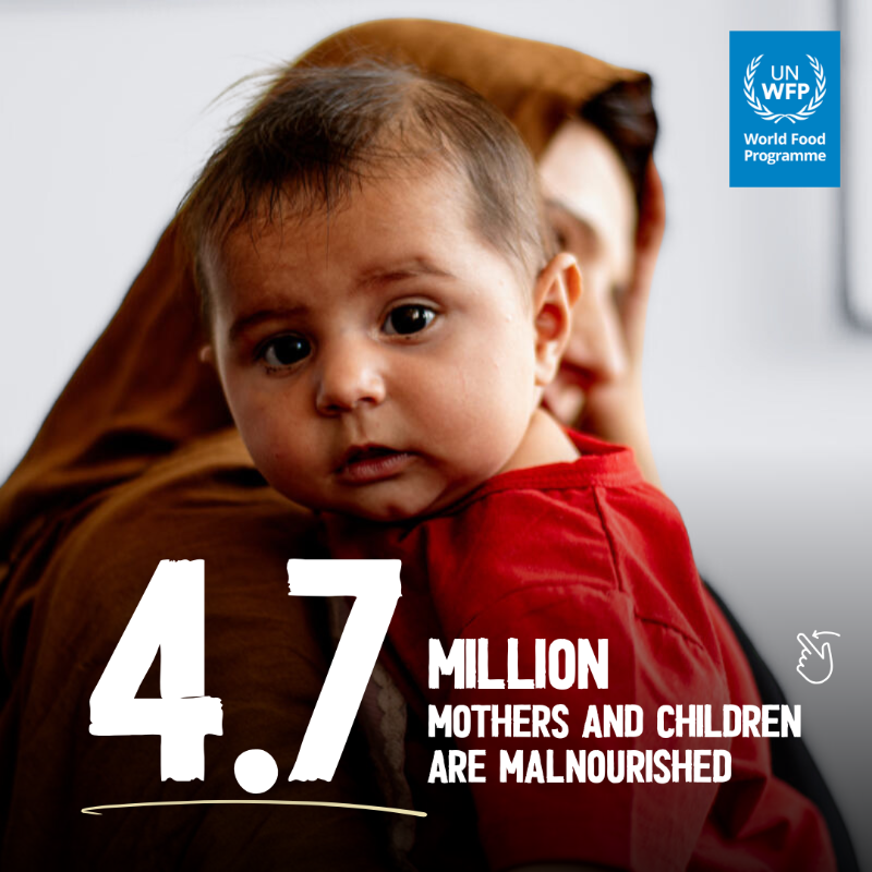 WFP_Afghanistan's tweet photo. In #Afghanistan, acute malnutrition, relentless drought and forced returns of Afghans from Iran and Pakistan are pushing families deeper into crisis.

WFP needs $568 million to sustain life-saving support over the next 6 months.