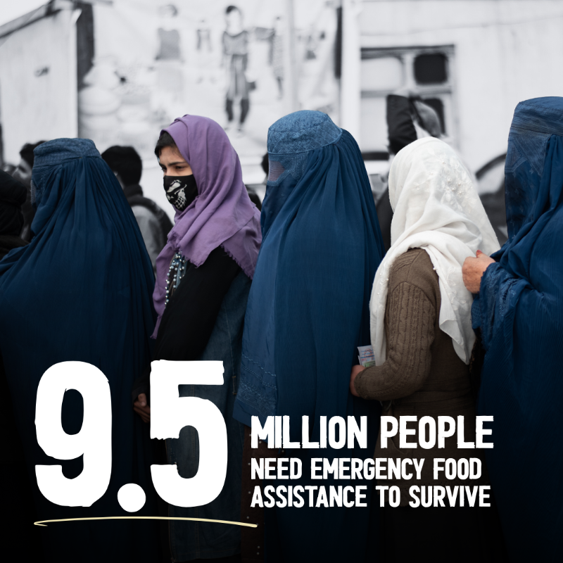 WFP_Afghanistan's tweet photo. In #Afghanistan, acute malnutrition, relentless drought and forced returns of Afghans from Iran and Pakistan are pushing families deeper into crisis.

WFP needs $568 million to sustain life-saving support over the next 6 months.