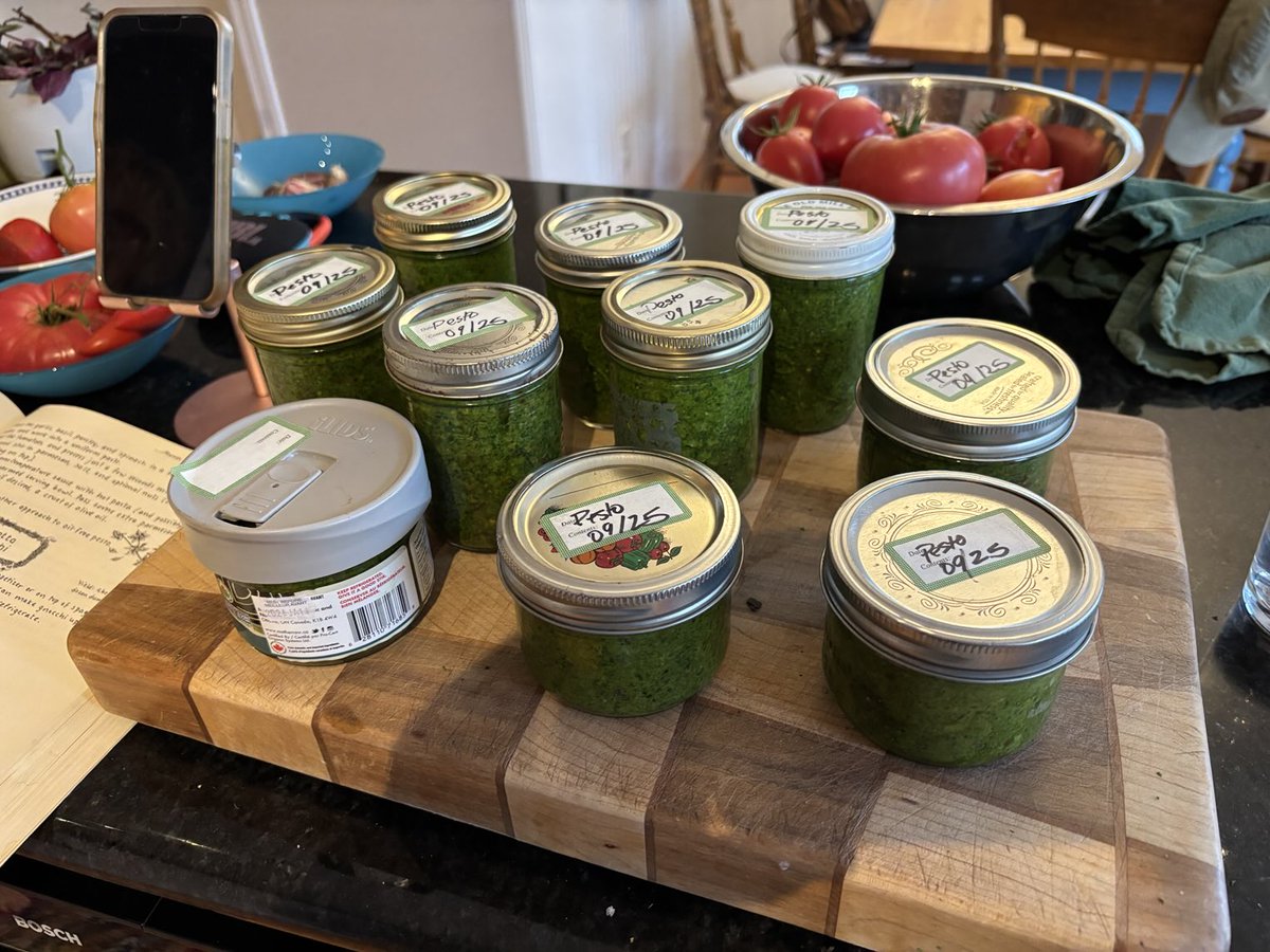 Harvested the basil today and made a winter’s worth of pesto,