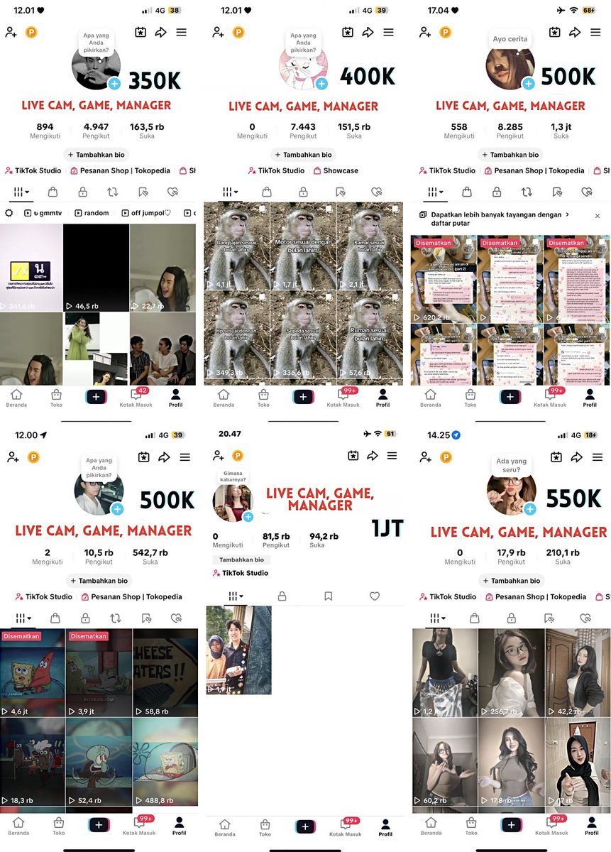 relie jual akun tiktok. tweet media