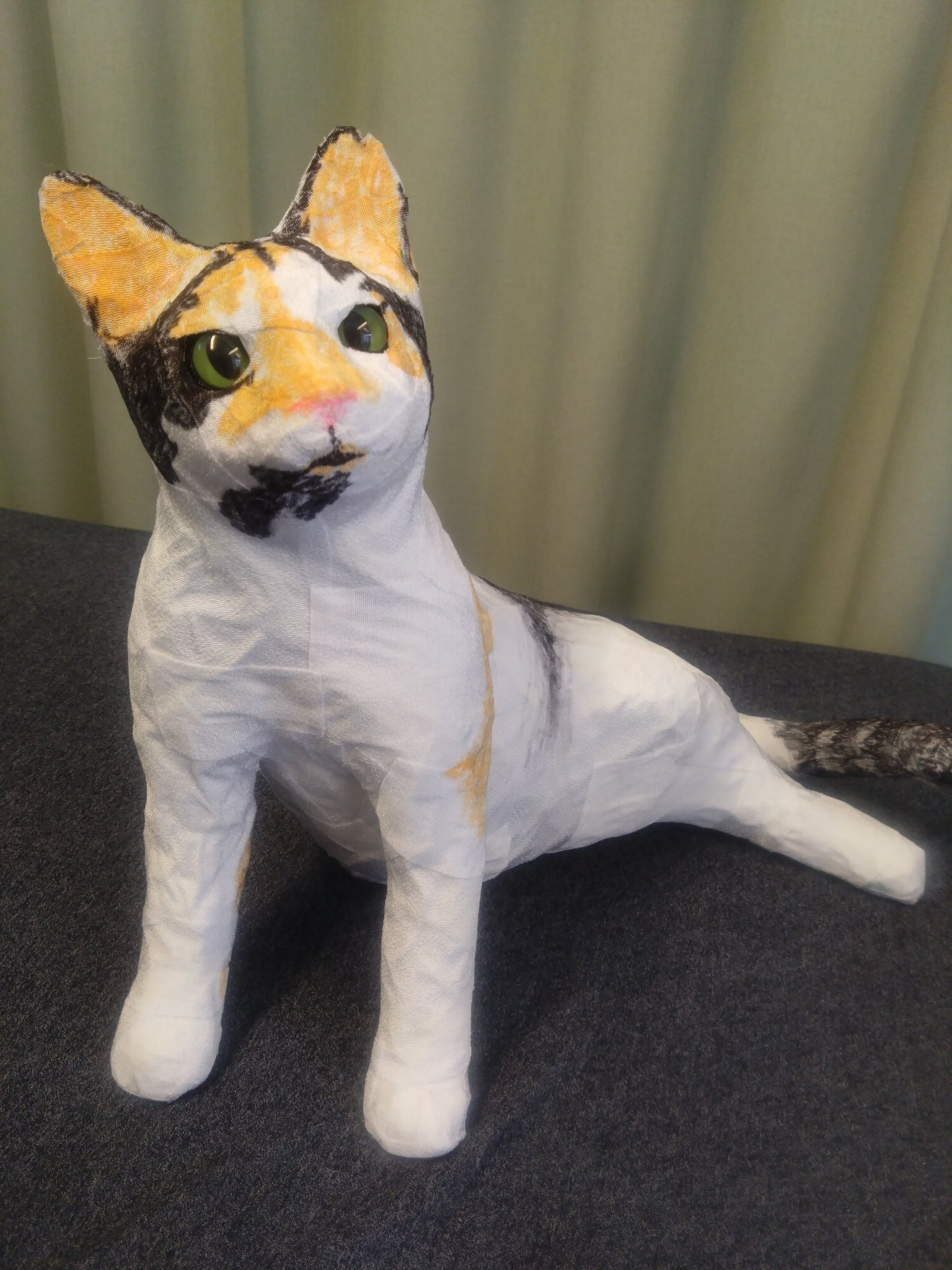 ミケ猫ฅ^•ω•^ฅ★ 呼ばれたらすぐに駆けつける」鍼灸マッサージ院の看板猫 幸せ