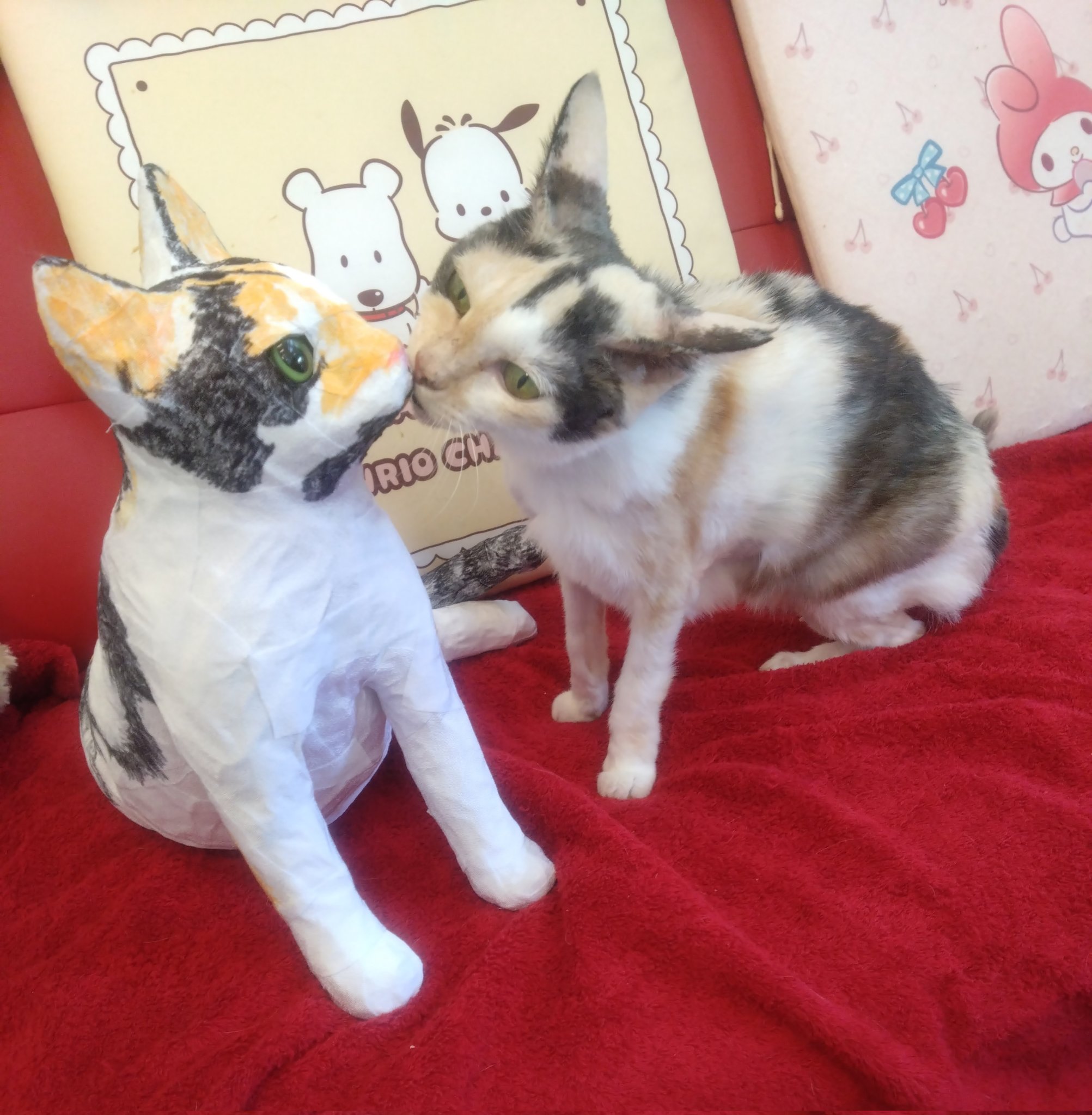 ミケ猫ฅ^•ω•^ฅ★ kedama.watage.kemuku | . 🦁🐰「みーたーなー！」 . ふたりで