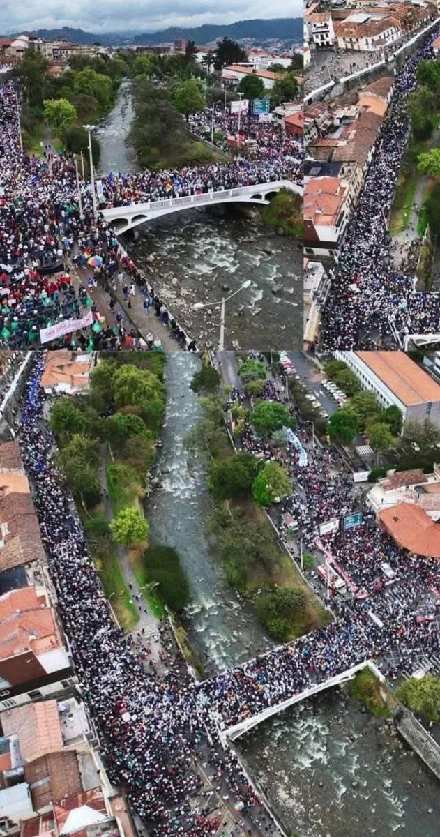 Fernando Cordero Cueva tweet media