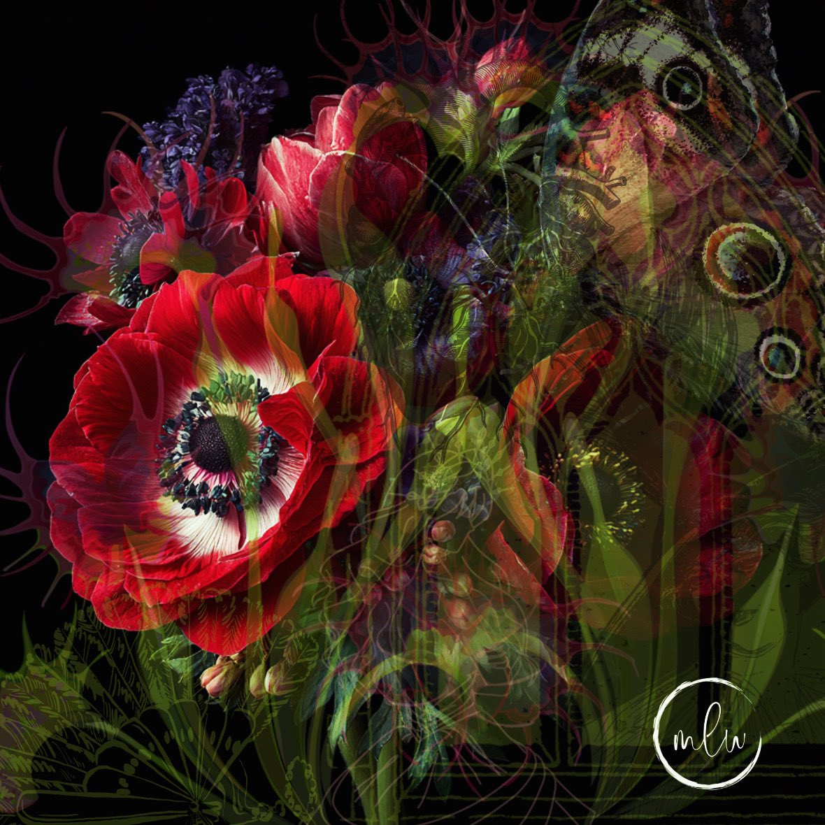 I haven’t made any digital art in awhile, but thinking of flowers has inspired me. 🤍

It’s beginning to feel like fall. This means I’ll soon be chopping down my dahlia stalks, digging up their tubers, tucking them away in a bed of vermiculite in a crate in my mudroom to keep