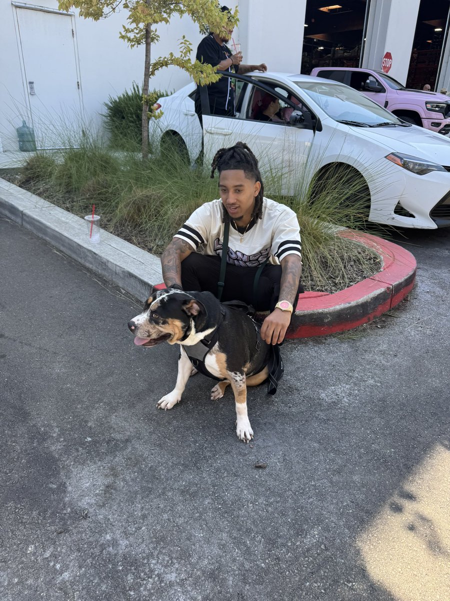 LILPL4Y's tweet photo. My broke roommate🖤.. Bandit https://t.co/XlenVE0BGn
