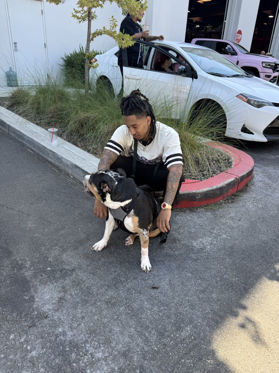 LILPL4Y's tweet photo. My broke roommate🖤.. Bandit https://t.co/XlenVE0BGn