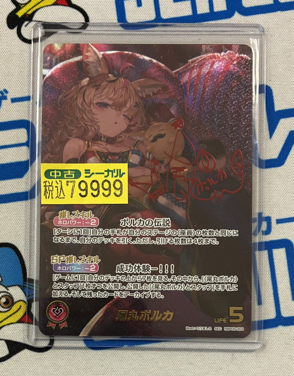 尾丸ポルカ SEC キズあり特価品追加しました‼️