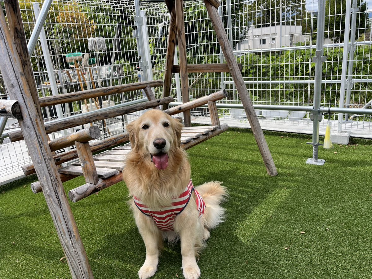 FCT_gotenba's tweet photo. 本日は天候も穏やかでワンちゃんとお出掛けにはぴったりです🐕
当店にはドッグラン近くにテラスも完備しています😄
今日はダブチとパッチがきてくれました❤️
レストランを利用して頂けると、ドッグランの利用に料金はかかりません😉
実質無料🆓️だワン🐶 https://t.co/1MoIjgqgQQ