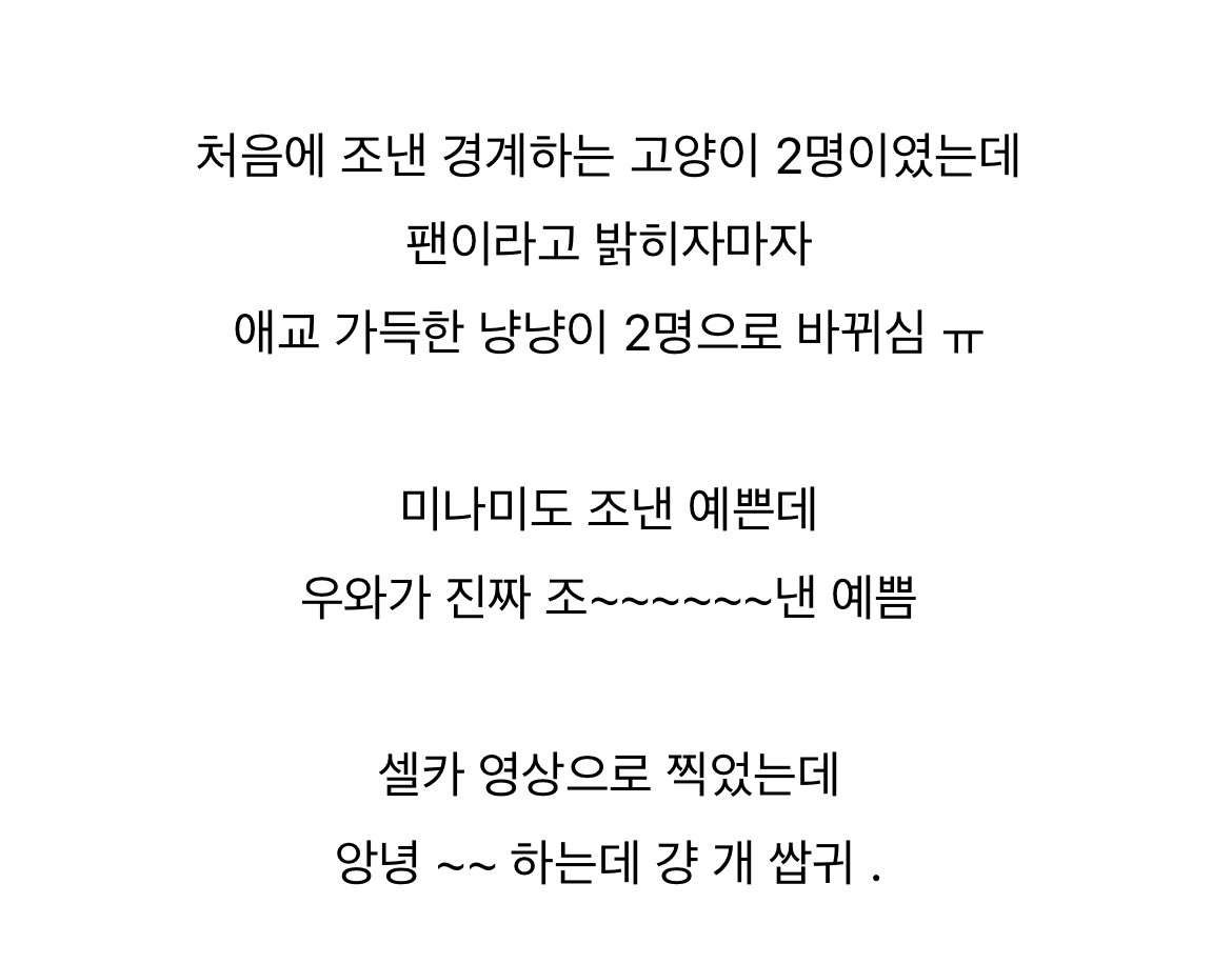 경계하는 고양이 2명 -&gt; 애교 가득한 냥냥이 2명 
&lt;&lt; ㄴㅁ ㄱㅇㅇ…♡ 
나도 우와가 안녕- 하는 거 듣고 싶어…ㅜㅜ
