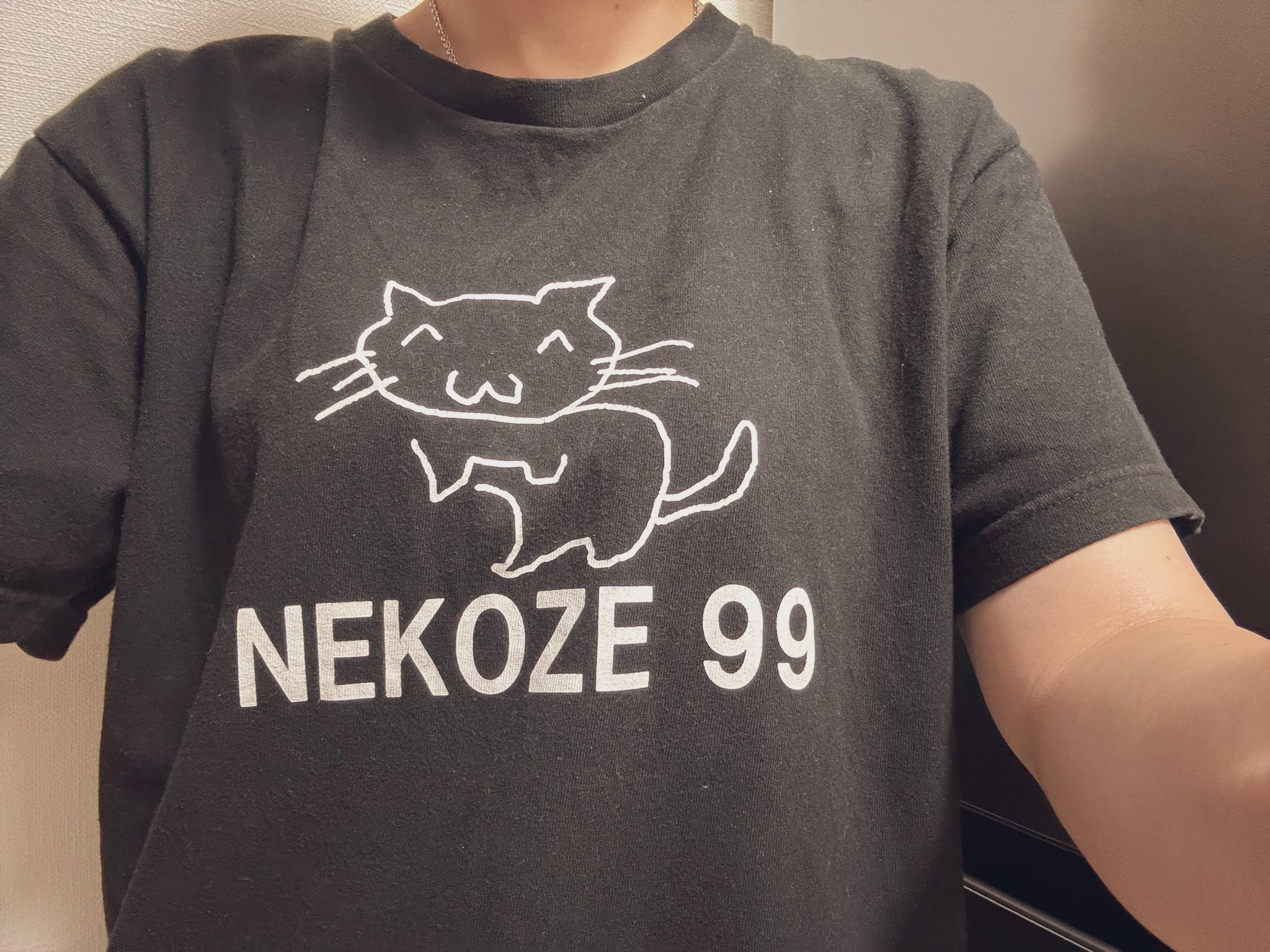 ✴︎Tページでございます✴︎ ズーズー (@Zzzx009) / X