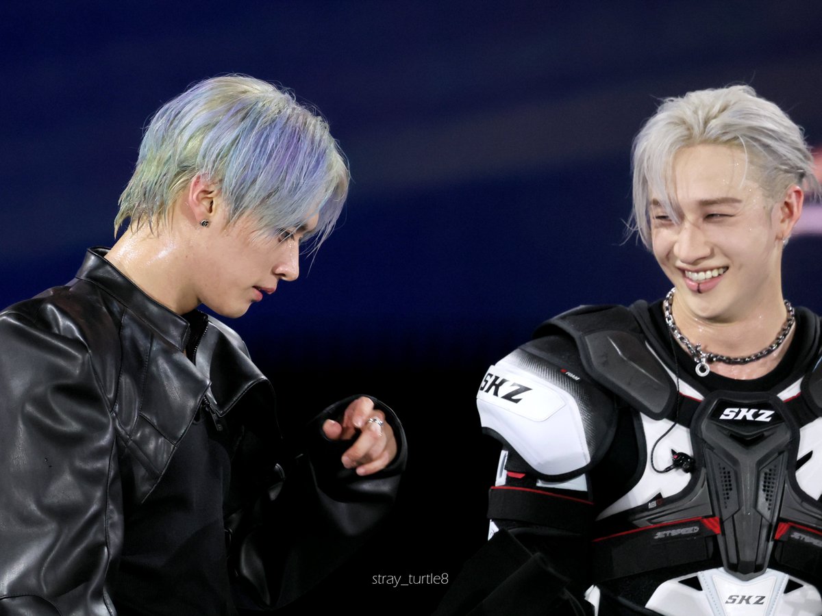 ˢᵗʳᵃʸ ᵗᵘʳᵗˡᵉ tweet media