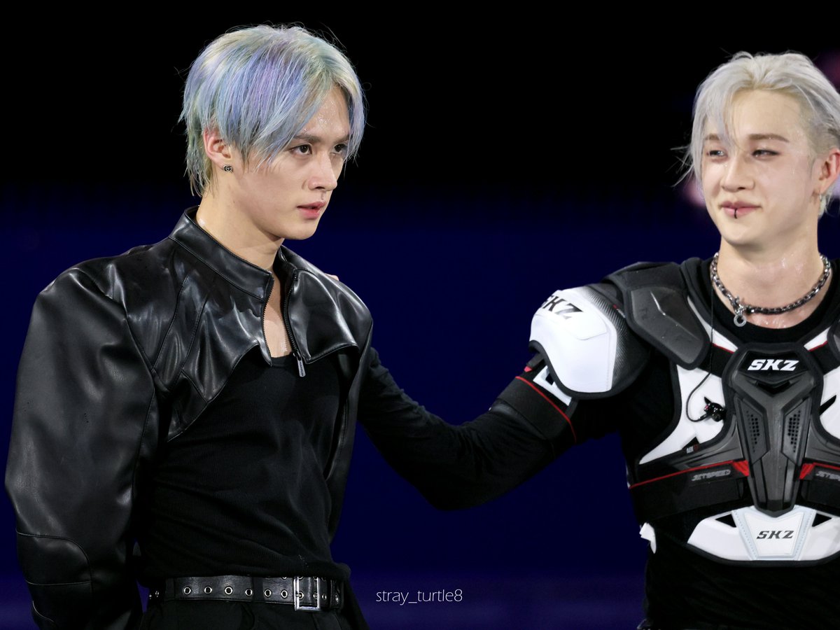 ˢᵗʳᵃʸ ᵗᵘʳᵗˡᵉ tweet media