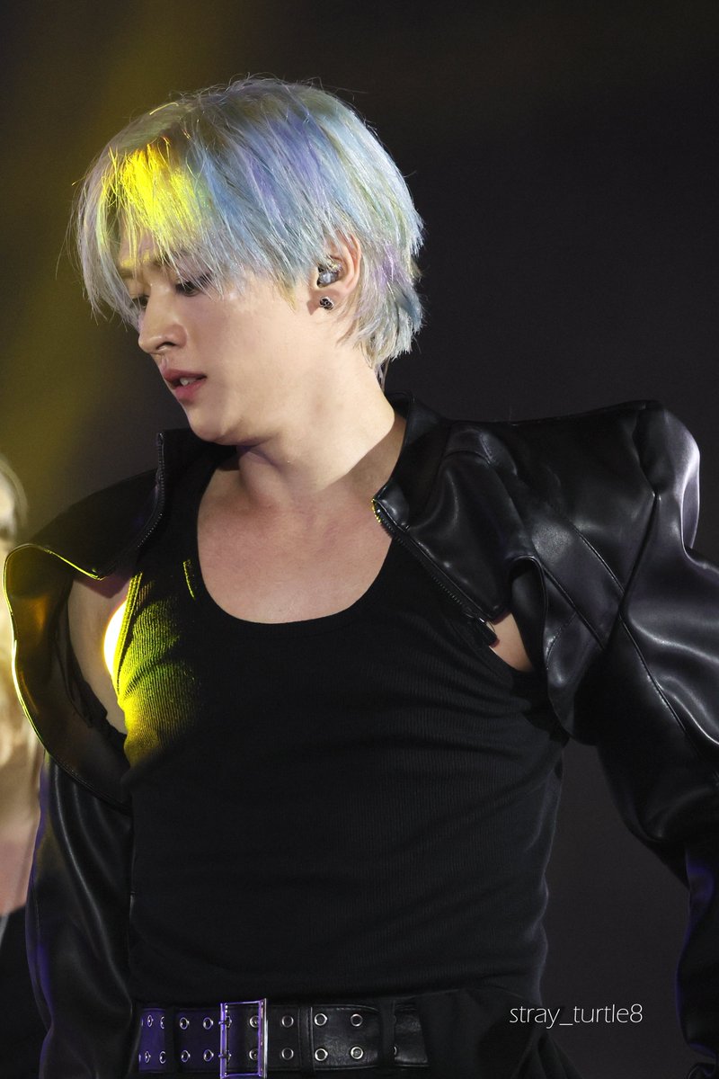 ˢᵗʳᵃʸ ᵗᵘʳᵗˡᵉ tweet media