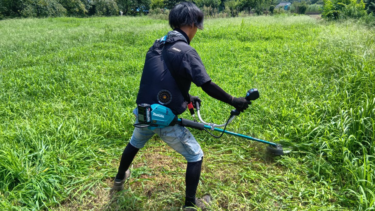 生産部が収穫作業を行っている風景です✨️

弊社では環境保全の為、刈払機を電動へ切り替えました!

こういった些細な事にも気を配るというのを徹底して安心安全な生の牧草をお届けできるように心がけております✨️

数日前から涼しくなりましたがみなさん気温の変化、体調にはお気をつけください！