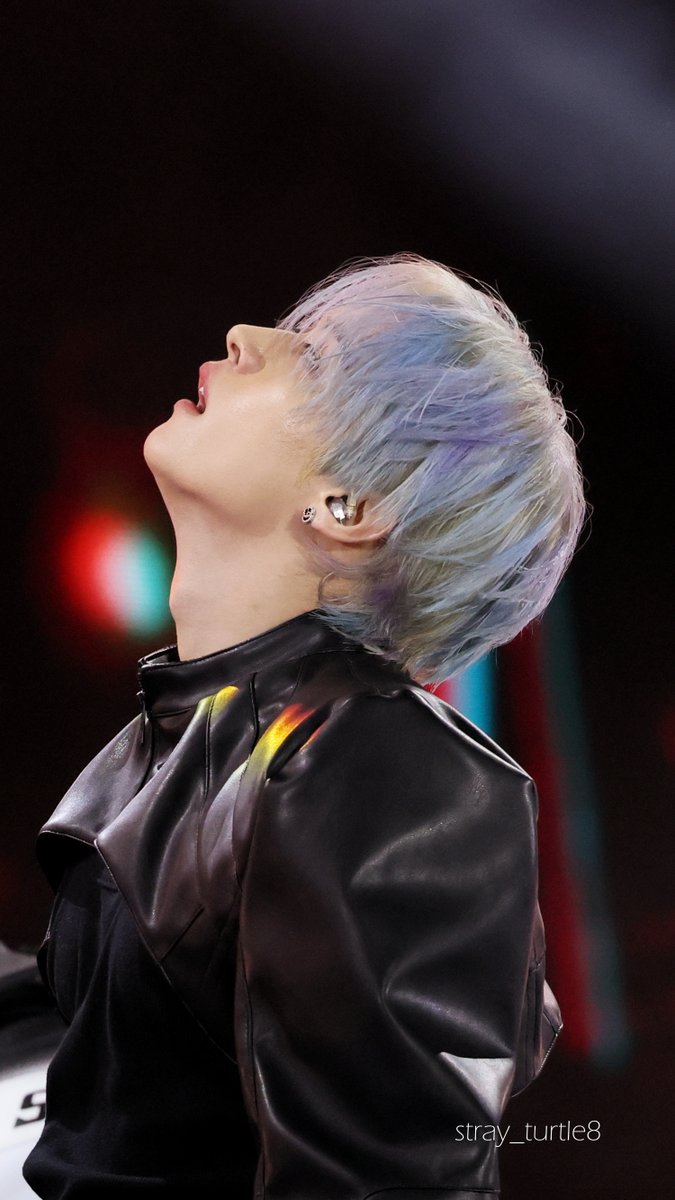 ˢᵗʳᵃʸ ᵗᵘʳᵗˡᵉ tweet media