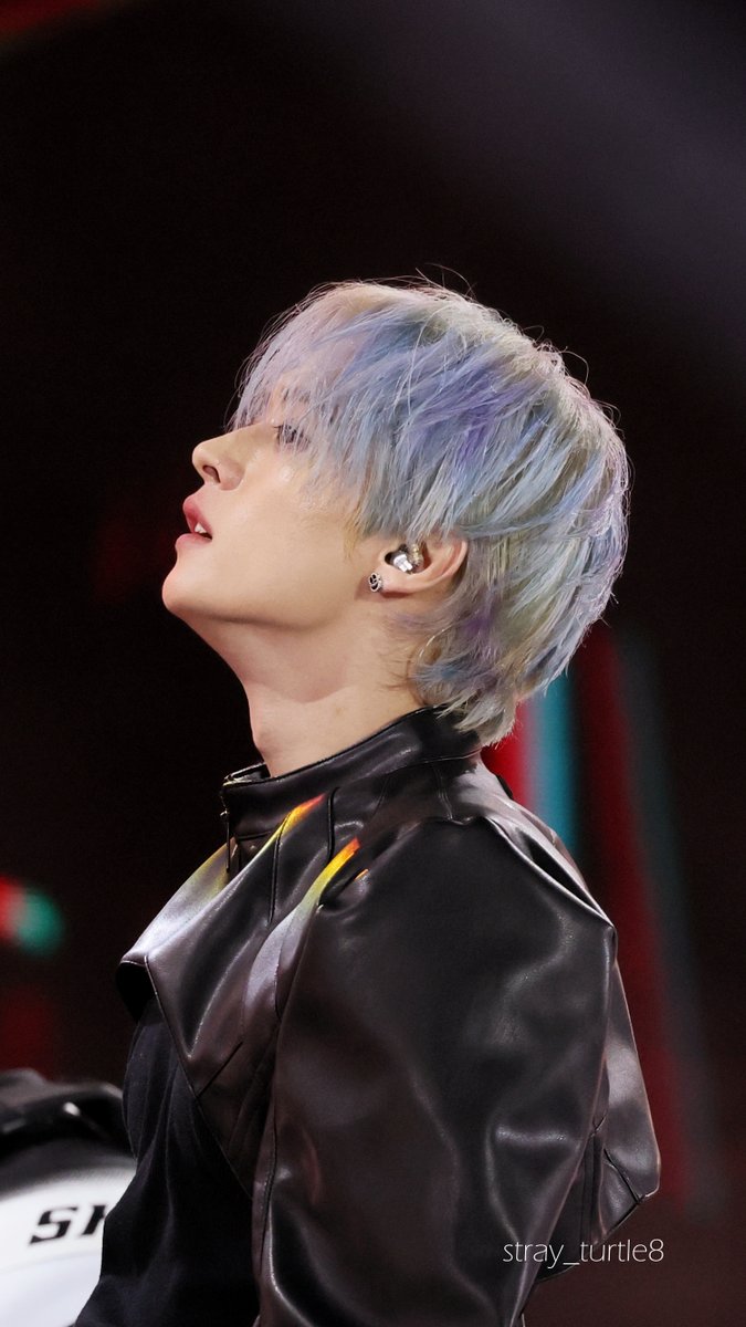 ˢᵗʳᵃʸ ᵗᵘʳᵗˡᵉ tweet media