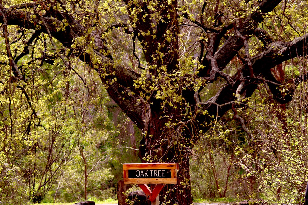 Jen 🖤🤍 tweet media