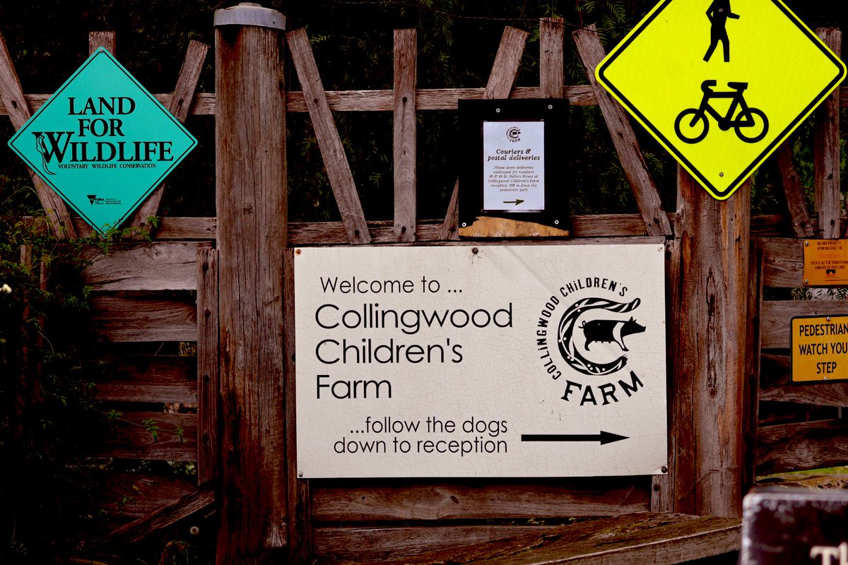 Jen 🖤🤍 tweet media