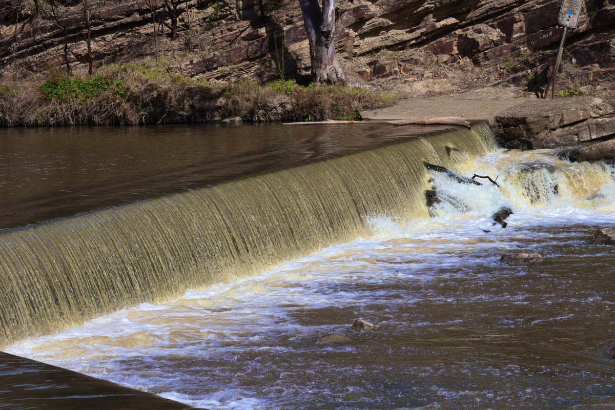 Jen 🖤🤍 tweet media