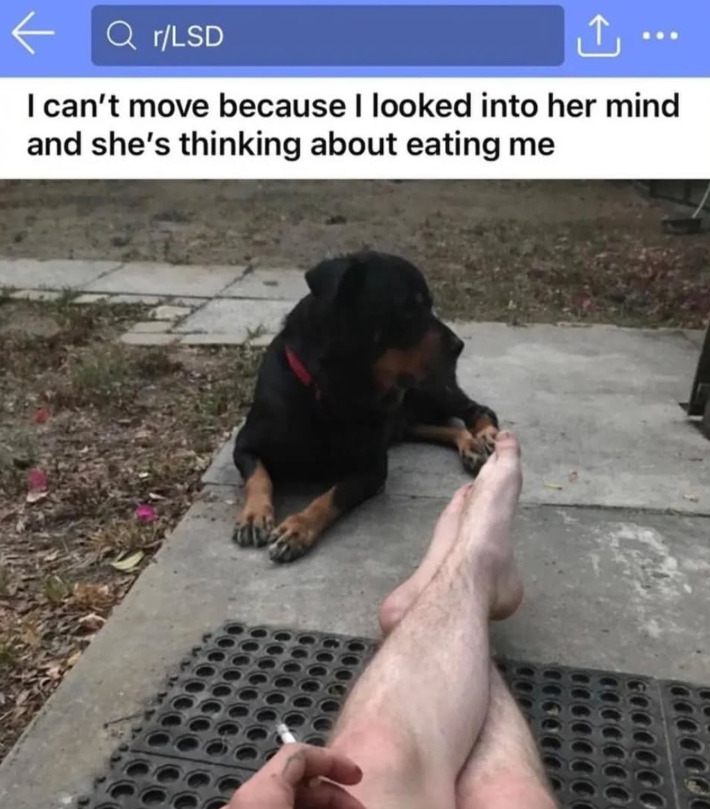 imagesaicouldnt's tweet image. 