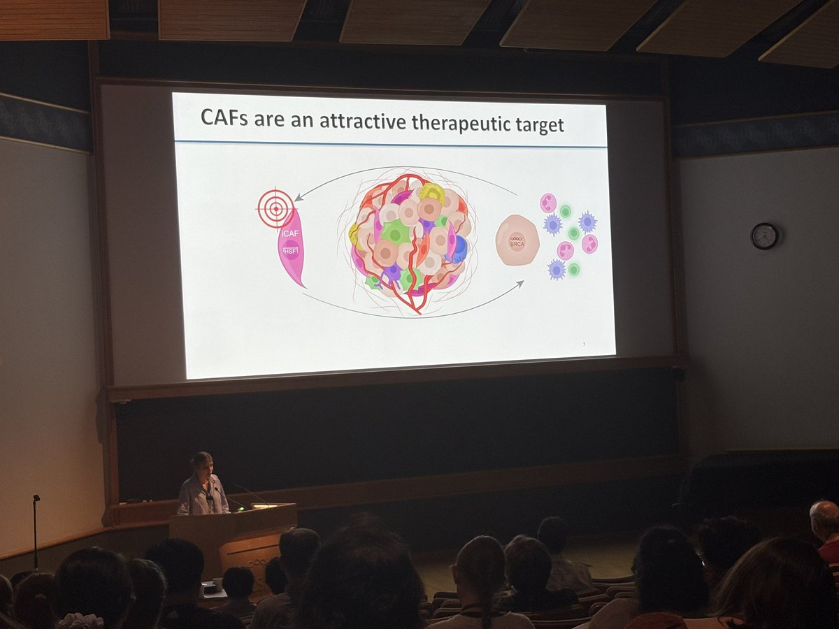 Debra Barki tweet media