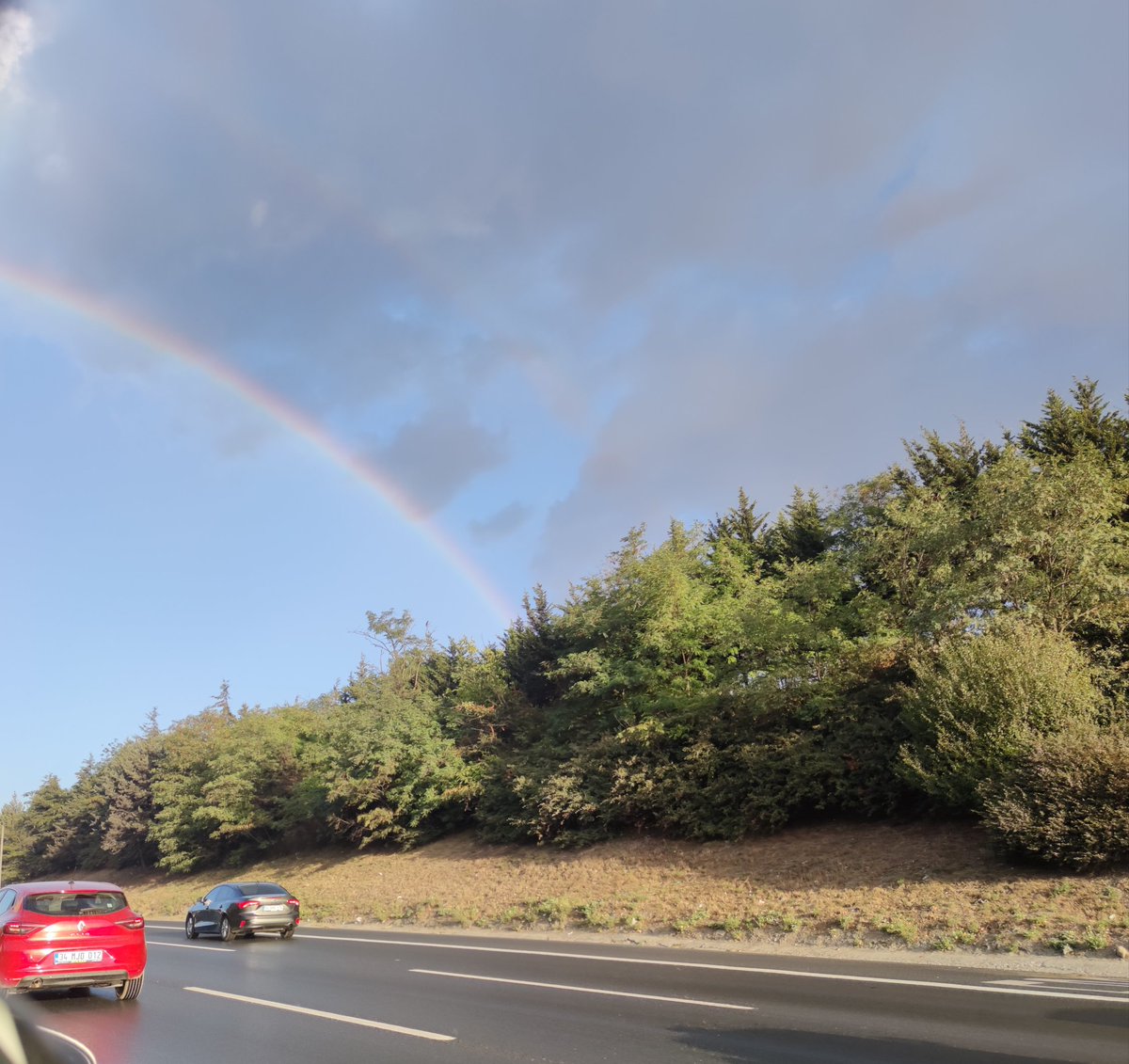 🇹🇷 Günaydınlar Türkiye'm 🇹🇷 Günaydınlar 💛 Fenerbahçe Ailesi 💙 Sağlıkla mutlu gönlünüzce güzel bir hafta dileğiyle hayırlı işler bol kazançlar sevgiyle kalın 🇹🇷 #Pazartesi