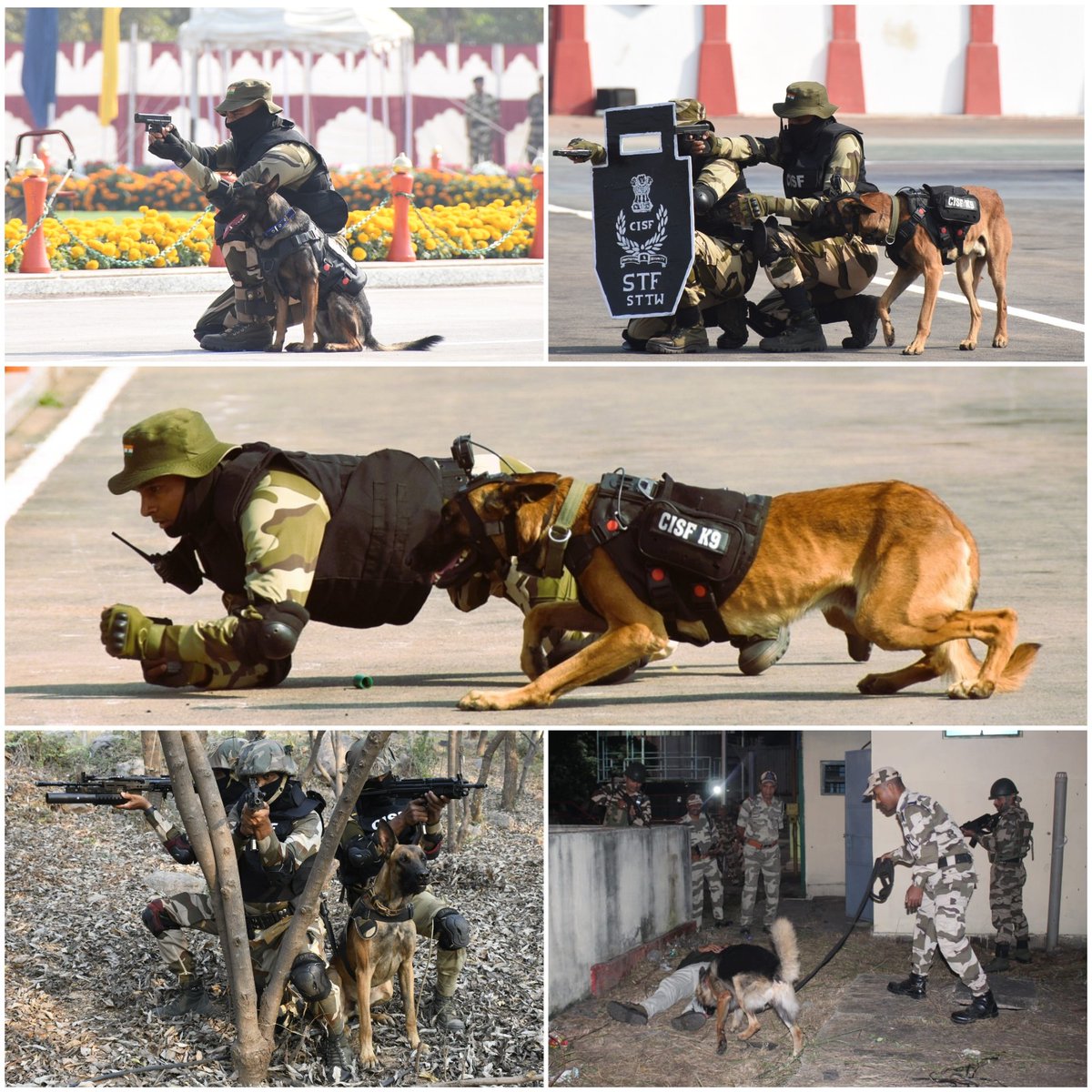 CISFAirport's tweet image. Silent protectors, unmatched defenders.
Trained in detection, tracking &amp;amp; patrol, the #CISF K9 Squad is a force multiplier in CISF’s aviation security grid — vigilant, loyal &amp;amp; always on duty to safeguard the nation&apos;s gateways. #ShieldOfSecurity #DogOnDuty @CISFHQrs @CISFTraining
