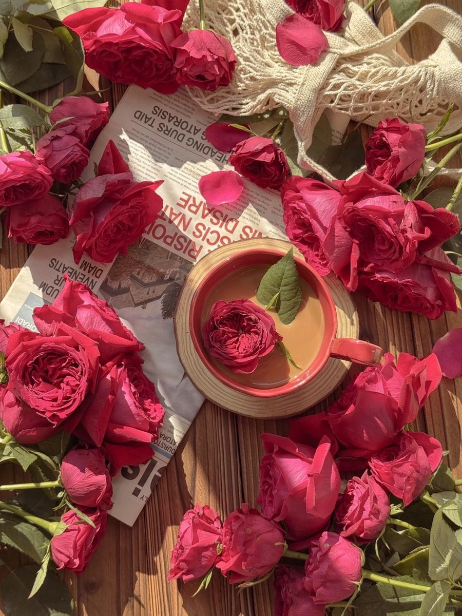 صباح الورد 🌺