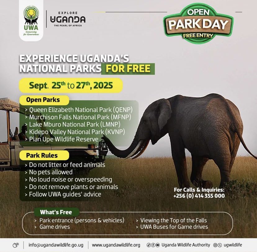 @SheSpellOfficial tweet media