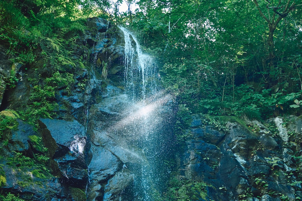 【NEW！】
野沢温泉村の水と森が醸す酒
　—ブナ林が育む水の源を訪ねて
👉lnky.jp/f9asxUt

長野県の北部に位置する #野沢温泉村🍃
雪深い冬、静かな森は水を育み、やがてその水は村の命を潤します💧
野沢温泉村の森を歩き、水源を訪ね、その恵みを味わう酒旅へ🍶

#県公式観光サイトGoNAGANO