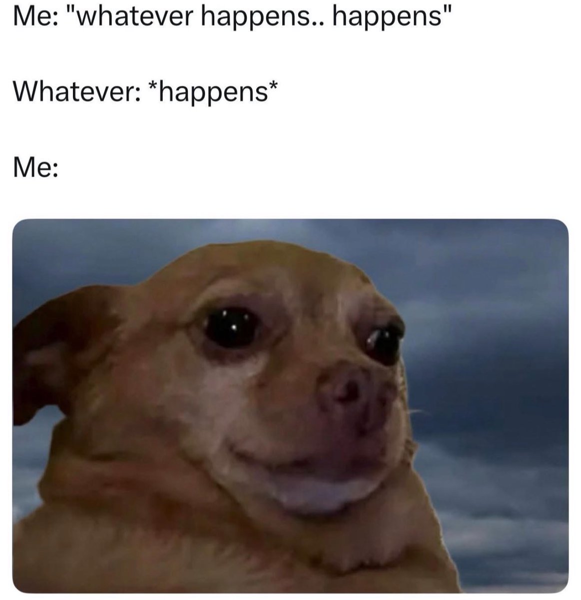 Respectful Memes (@respectfulmemes) on Twitter photo 