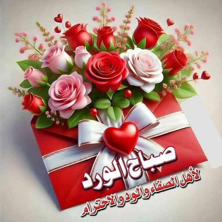البعض يطيبُ لهم الصباح
والبعض الاخر : 
        يطيبُ بهم الصباح !
وهناكَ بعضٌ ... آخر 
       هُمُ الصباح بعينه..

صباح الورد ..💕🍃