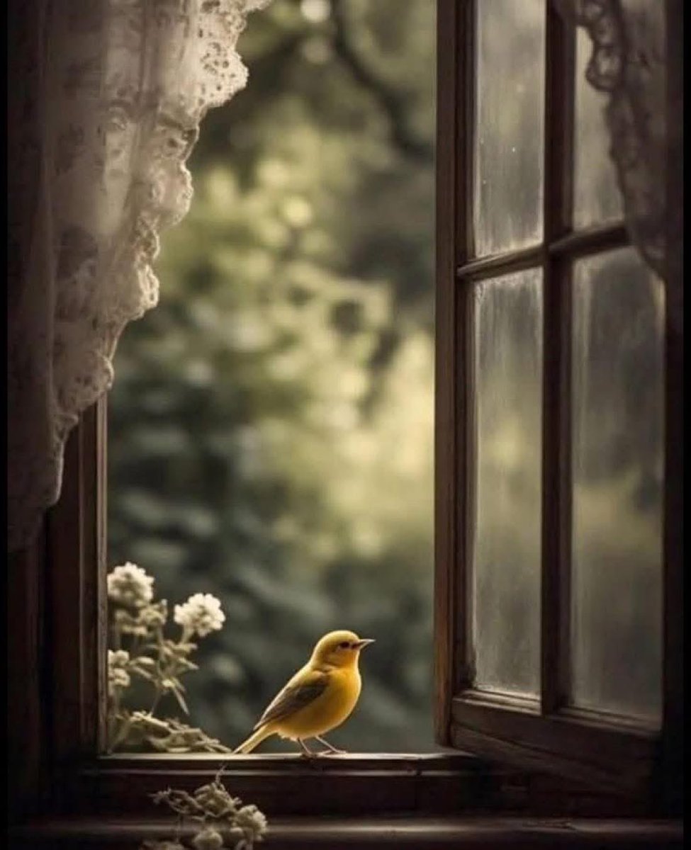 حن لا نحيا بالخبز وحده بل نحيا بما يُلقى في دروبنا من كلمات
كلمة واحدة قد تُرمّم جدارًا متصدعًا في أرواحنا وتغرس فينا بذرة أمل لا تموت
وكلمة أخرى قد تهوي بنا إلى قاع لا قرار له تتركنا نتلمس الجراح في صمت كأننا لم نعش إلا لنُجرَح
ليس الكلام مجرد حروفٍ عابرة إنه سهام تُصيب أو تداوي