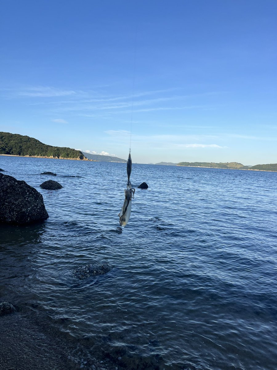 朝一速攻釣れたけどその後続かず風と闘いながらポツポツなかなか厳しいかったし成長が遅い気がする