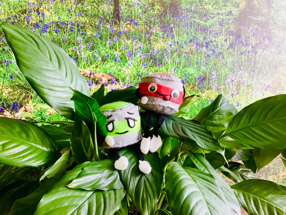 takaracolorin's tweet image. みんな知ってるかな❓
タカラ印刷は FSC® CoC認証 を持っています🌲✨
（詳細はこちら👉takara.inaka.co.jp/information/88…）

9/20～26は『FSCフォレストウィーク』 🌳
みんなで森を大事にすることの大切さを考えてみよう💚

jp.fsc.org/jp-ja/FSC_Fore…
#FSCForestWeek ＠FSC Japan
[FSC® C205589]