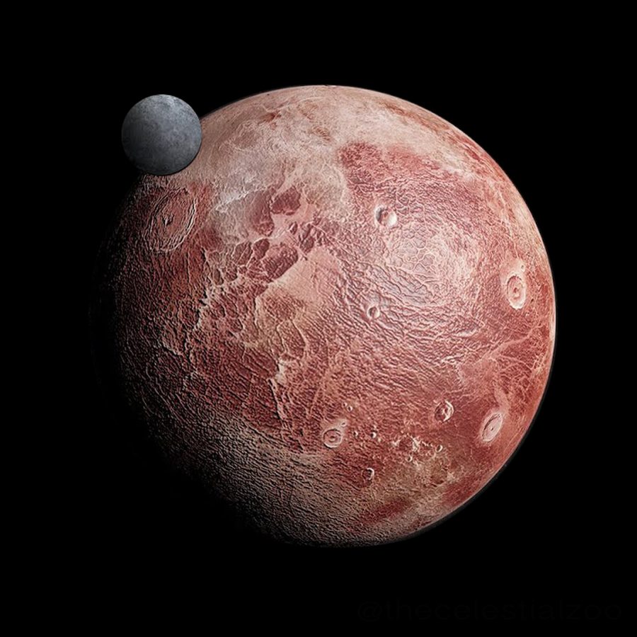 Plutoliveshere's tweet photo. #OTD 9-18-2010 Xiangliu, moon of dwarf planet Gonggong (2007 OR10), was discovered! In 2016 astronomers learned Gonggong had an unusually slow rotation. Tidal forces exerted by a satellite could explain this, so they went hunting in archival Hubble images &amp; found Xiangliu🤩#Space https://t.co/R5dh5UYmXm