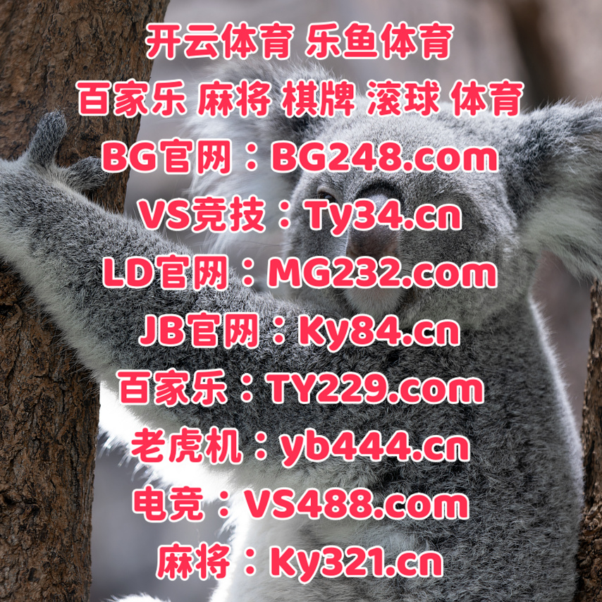 #开元 #大赢家 #SW电子 #华体会 #火博官网 #FH至尊凤凰 tweet media